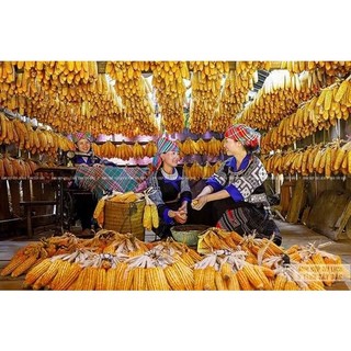 Đặc sản bún ngô Lạng Sơn