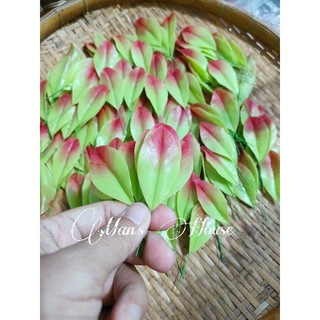 lá mai, lá đào đất sét