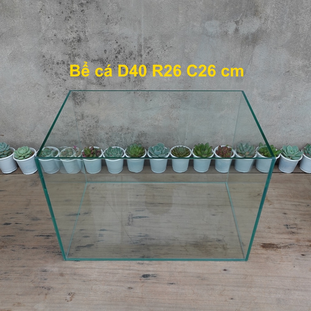 Bể cá 40 x 26 x 28 cm, dày 5mm, bể dán dấu keo, mài nhẵn vi tính