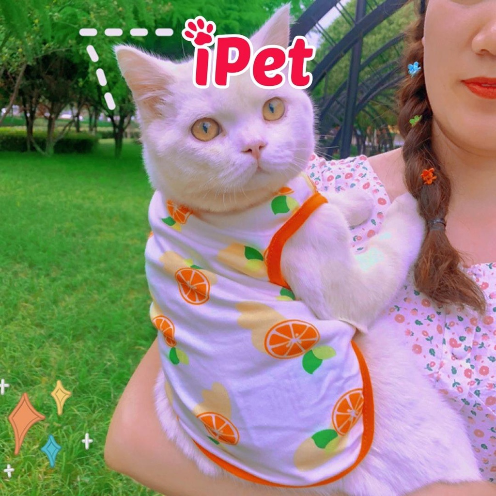 Áo thun ba lỗ trái cây dễ thương thoáng mát cho thú cưng chó mèo - iPet Shop