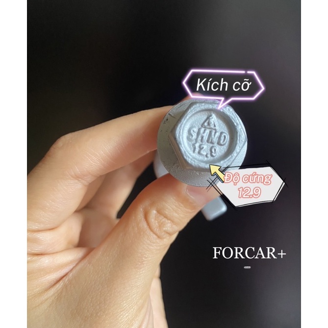 Ốc Camber Chuyên Dùng Chỉnh Góc Nghiêng Bánh Xe 12,14,15,16,17mm- FORCAR VIETNAM