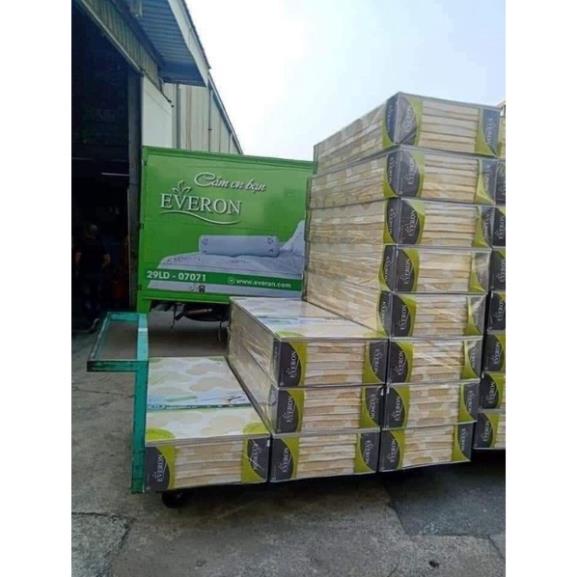 Đệm Everon đệm bông ép 3 miếng gấp chính hãng chống đau mỏi vai gáy giảm giá đến 50% - đủ các kích thước