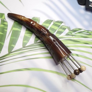 Bọ cạp hoa khế sừng đen 1