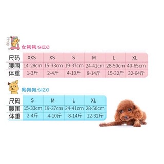 Bỉm (tã lót) cho cún (Cái & Đực) 🐶🐩
