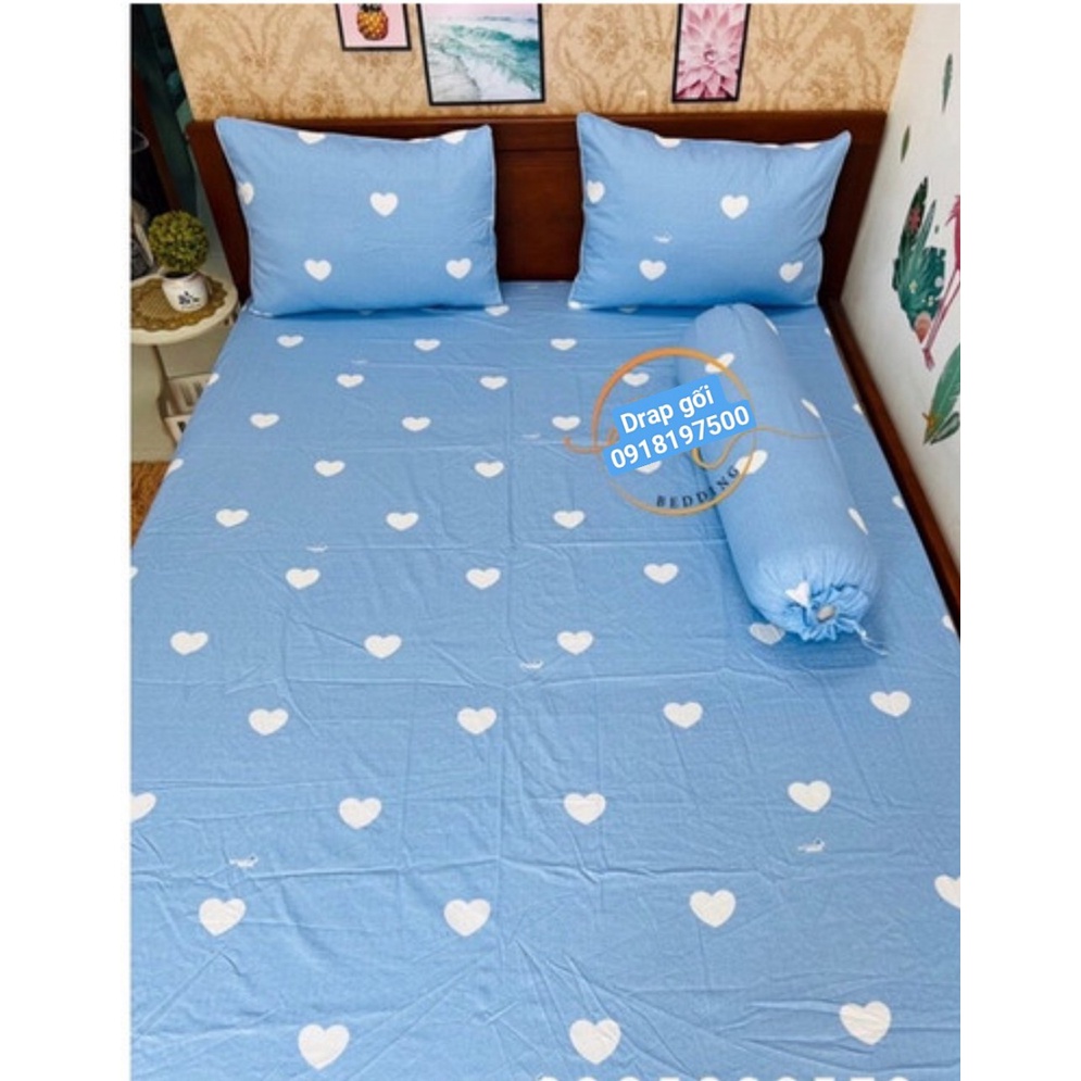 Bộ Drap Cotton Thắng Lợi { 4 món } CHUẨN LOGO cty