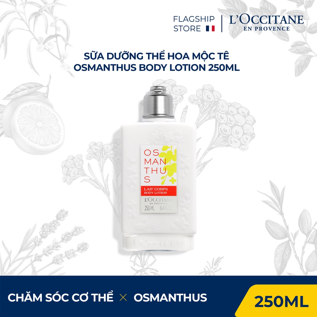 Sữa Dưỡng Thể Hoa Mộc Tê L'Occitane Osmanthus Body Lotion 250ml