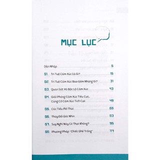 Sách Vanlangbooks - Trí Tuệ Cảm Xúc