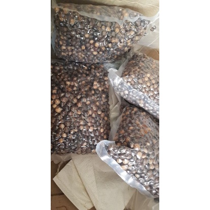 hạt dẻ rừng tây bắc 10kg