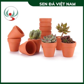 Chậu đất nung size mini 4x6cm, 6x6cm, 8x8cm bát tràng, chậu đất nung trồng sen đá, xương rồng
