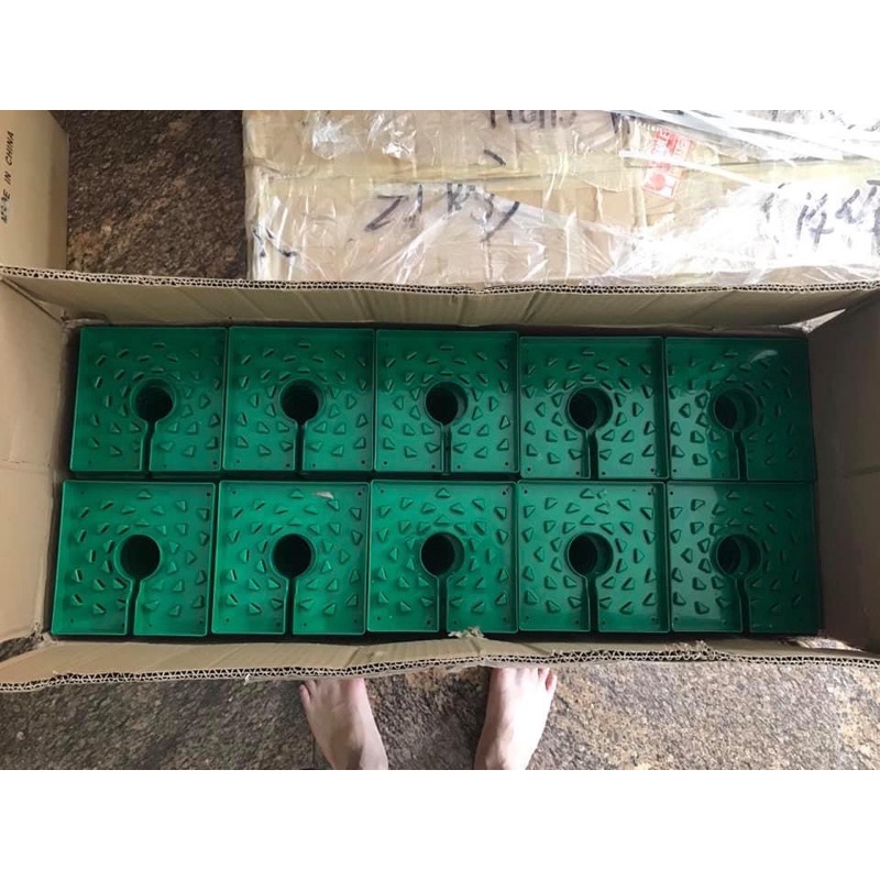 Khay tưới bảo vệ rễ 8in