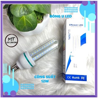 BÓNG ĐÈN LED 12W, 16W CHỮ U