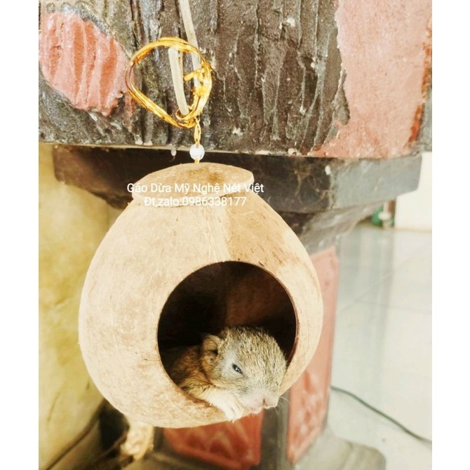Gáo Vip làm tổ chim, tổ sóc, ĐK 13,5cm-15cm