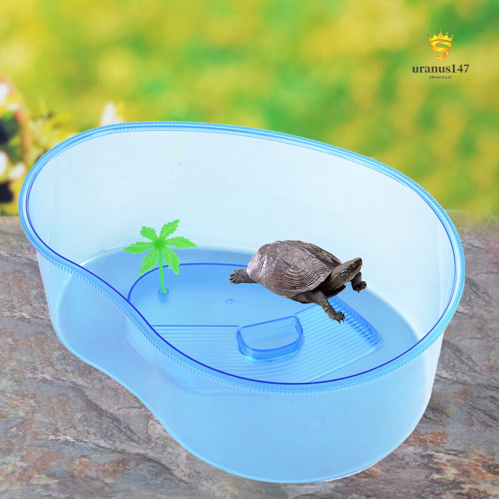 Bể Nuôi Rùa Trong Suốt Sức Chứa Lớn Tiện Dụng
