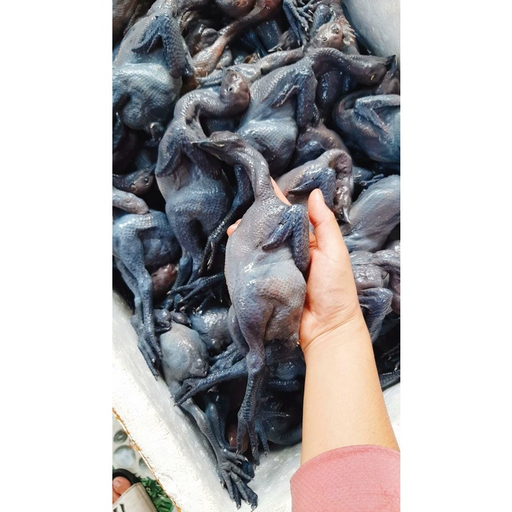 Gà ác 170gr - 250gr