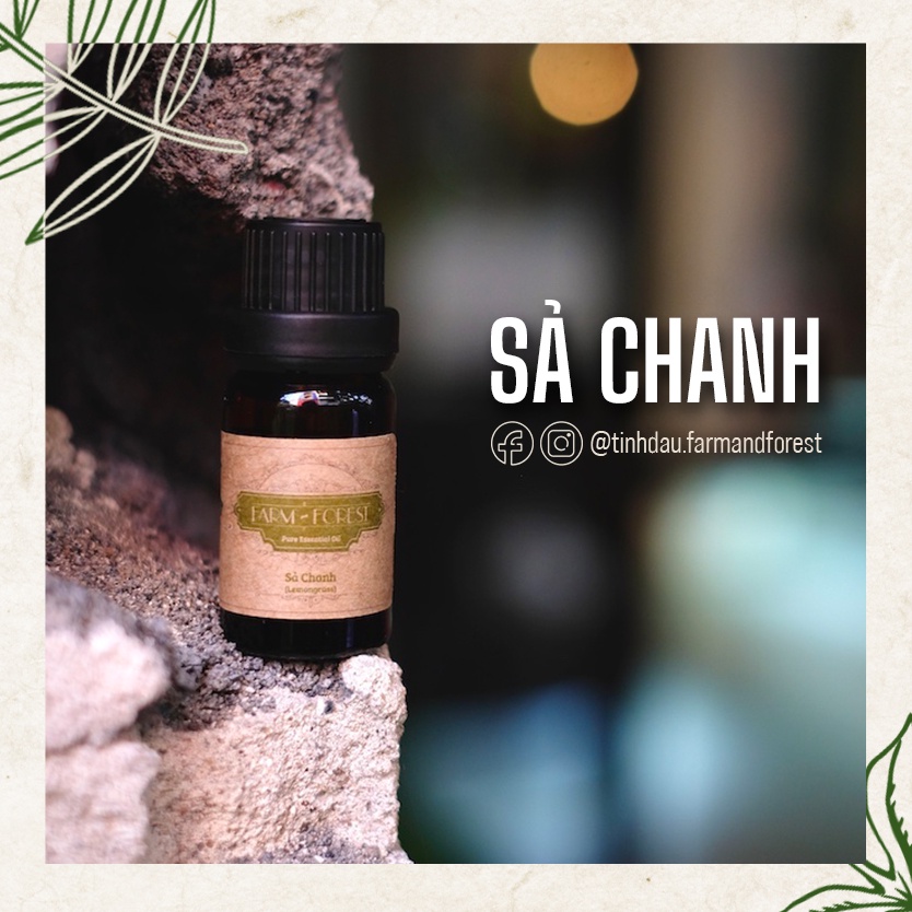 Tinh Dầu Sả Chanh 10ml, Tinh Dầu Thiên Nhiên Nguyên Chất, Farm & Forest, Làm Thơm Phòng, Khử Mùi, Đuổi Muỗi.