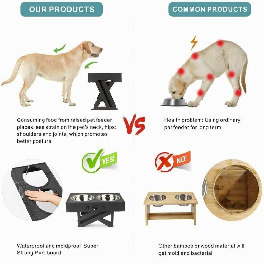 Layor1 Bát Đôi Đựng Thức Ăn Dành Cho Thú Cưng Đứng Được Nâng Cao