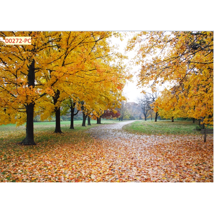 Tranh 3D Nắng Thu nhẹ lá vàng bay