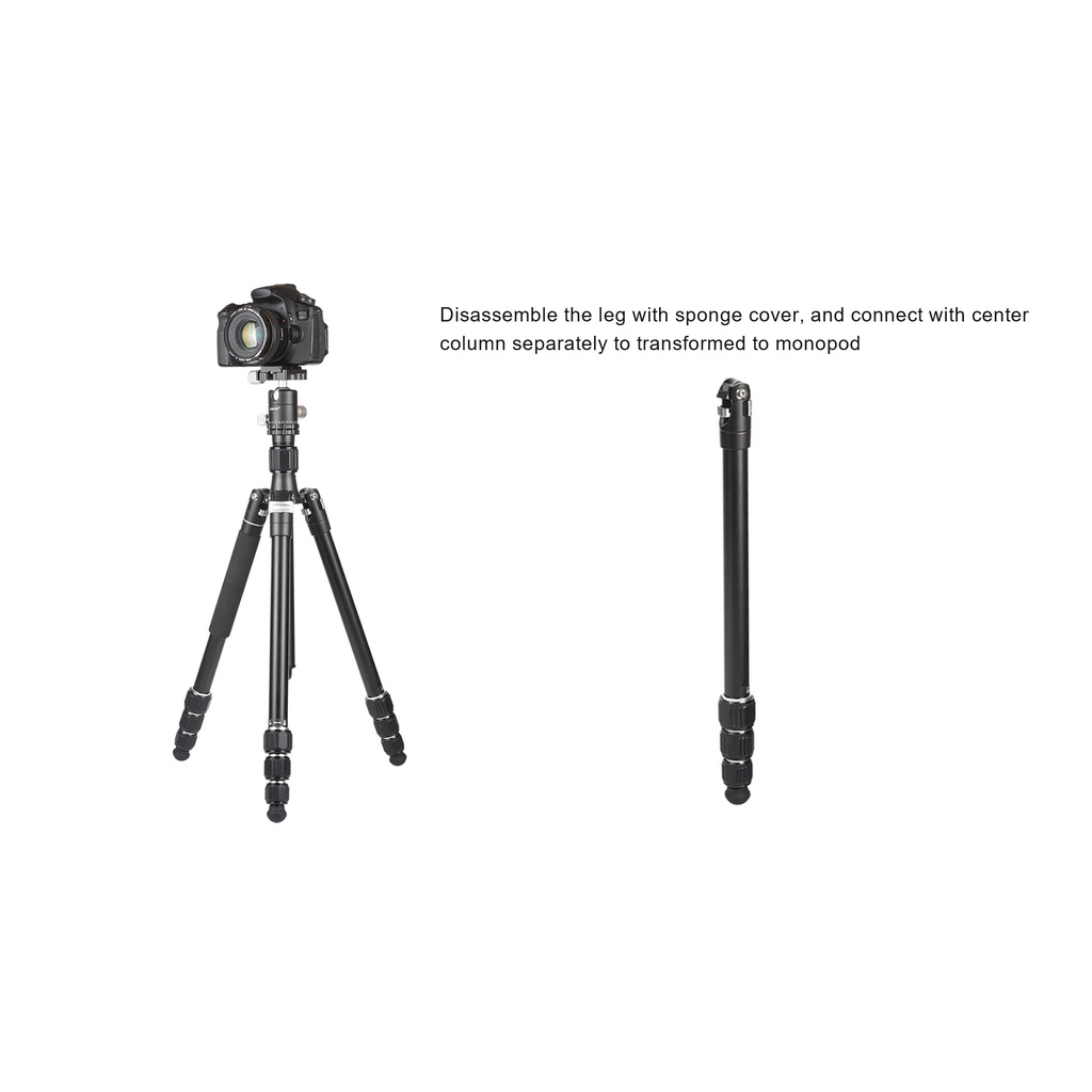 Chân Máy Ảnh PO-254X1A - Chính Hãng