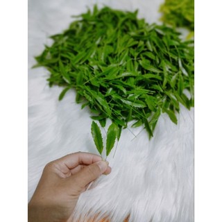 lá mai, lá đào đất sét