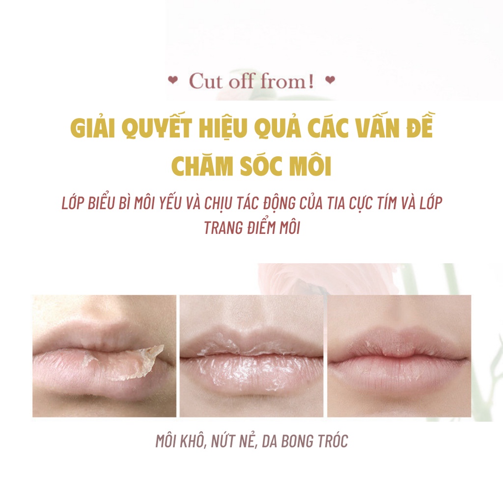Mặt Nạ Môi NOVO Moisturizing Ice Cube Lip Mask 5823
