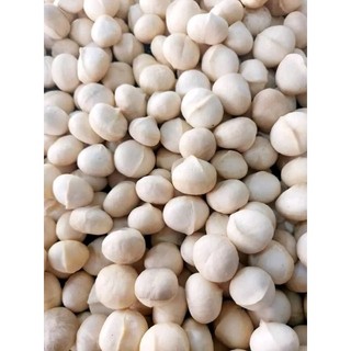 600g Nhân Macca/ Hạt mắc ca  Sach Dak Lak nhà trồng loại 1 size 23-26 kèm dụng cụ tách vỏ / Nhân Mắc ca/ hạt Mac ca