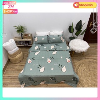 Bộ Ga Gối Poly 1m4x2m vải mềm mịn,ga có bo chun[mẫu bơ xanh nhạt[