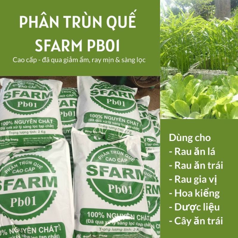 Phân Trùn quế nguyên chất túi 2kg