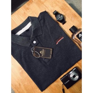 Áo Polo Basic 100% Cotton