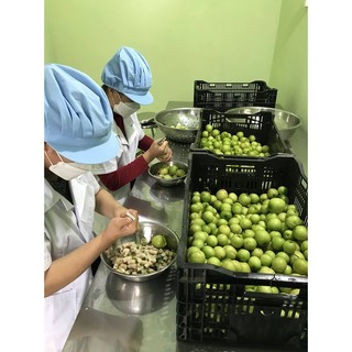Táo sấy dẻo Ninh Thuận - Đất Nắng 150g