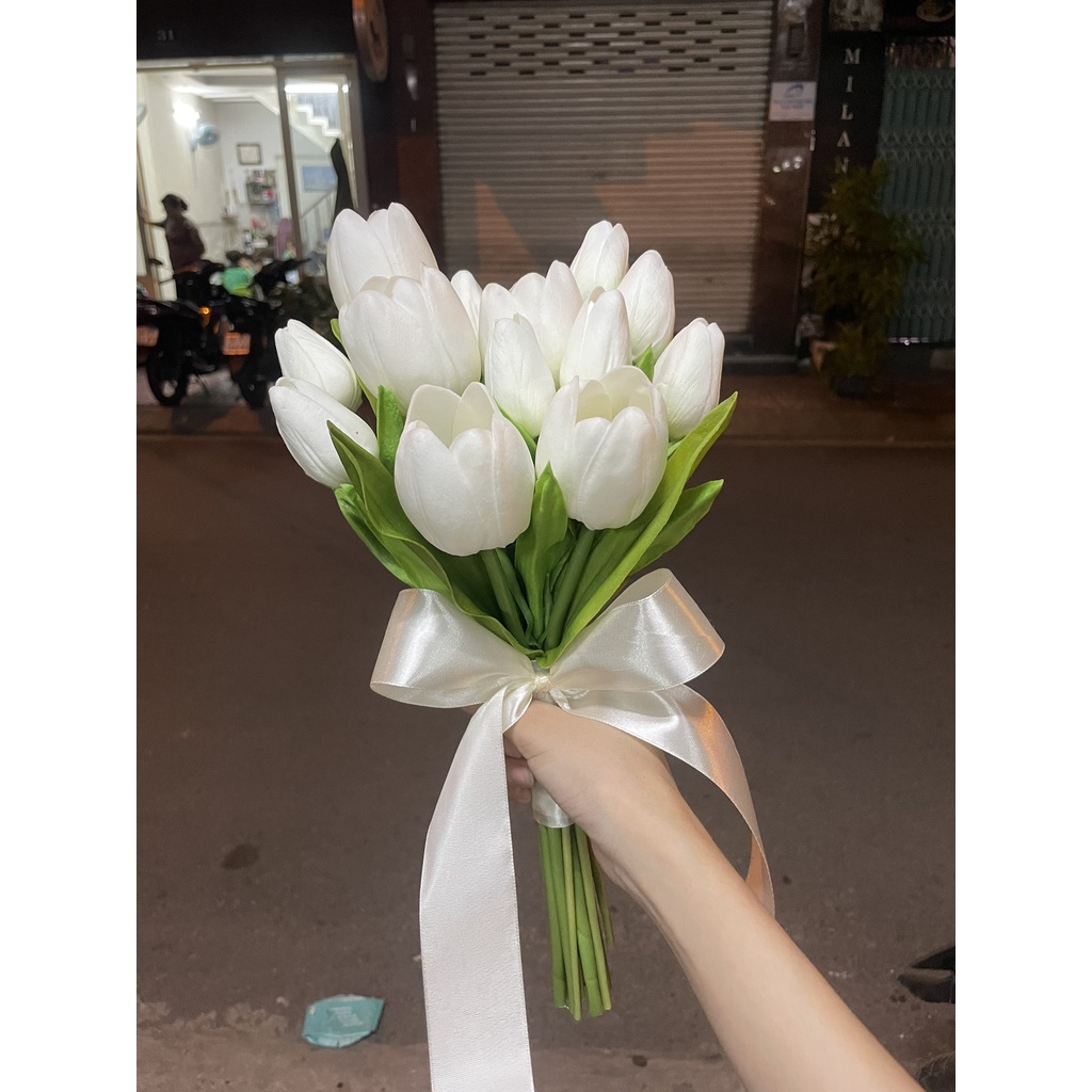 Hoa cầm tay tulip