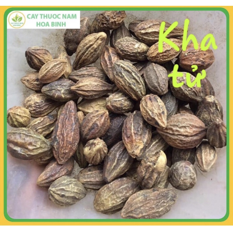 Quả kha tử 1kg giảm ho,dùng nấu siro cho trẻ cực tốt