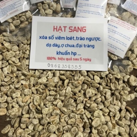 Hạt Sang  TriDaDay lz LOẠI 01