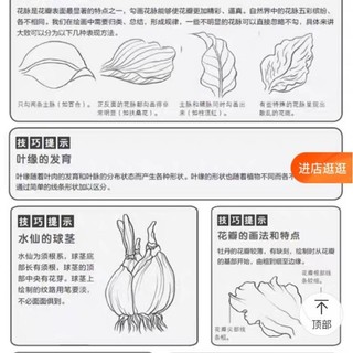Sổ Vẽ phác thảo Sketch practical tutorial(5 chủ đề)