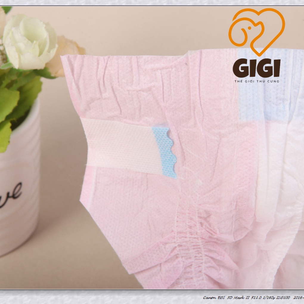 Bỉm Dono cho chó mèo đực và cái nhiều size co giãn mềm mại siêu nhẹ thấm hút cao phụ kiện thú cưng - GiGi Pet Shop