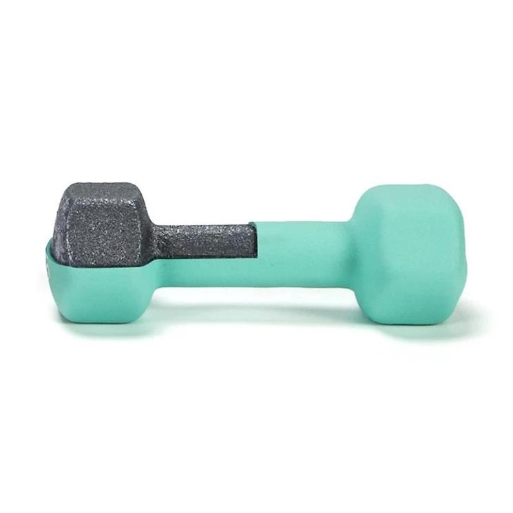 Tạ tay 2kg bọc cao su trơn lõi thép đúc nguyên khối TXstar tập Gym thể thao tại nhà phòng tập