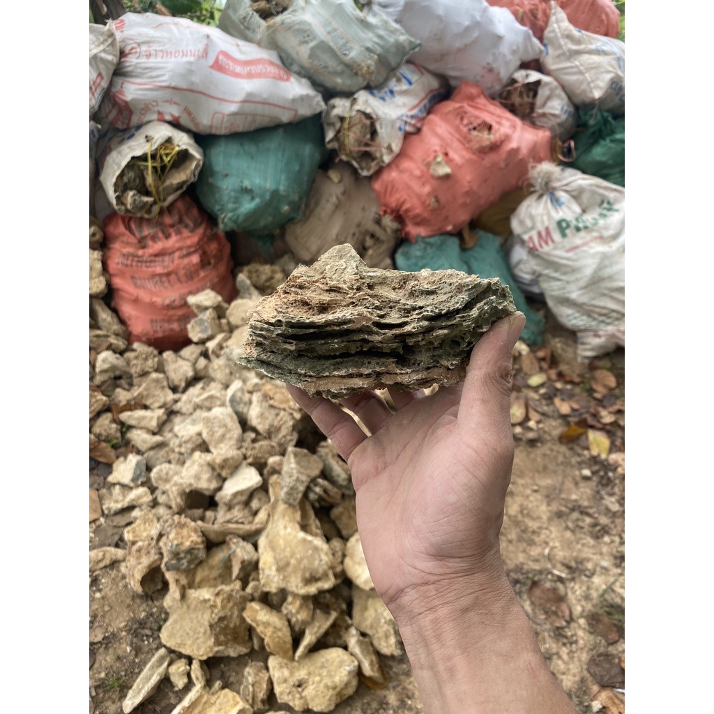 Đá kim đà tai mèo 1kg, đá trí bể cá, tiểu cảnh, thuỷ sinh, sân vườn, non bộ.