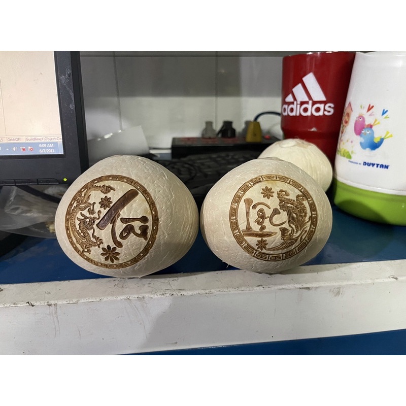 Combo cặp  dừa Tài - Lộc