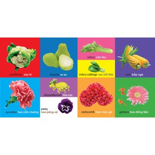 Sách - 101 Từ Đầu Tiên: Thực Vật