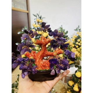 Cây đá thạch anh chiêu tài lộc