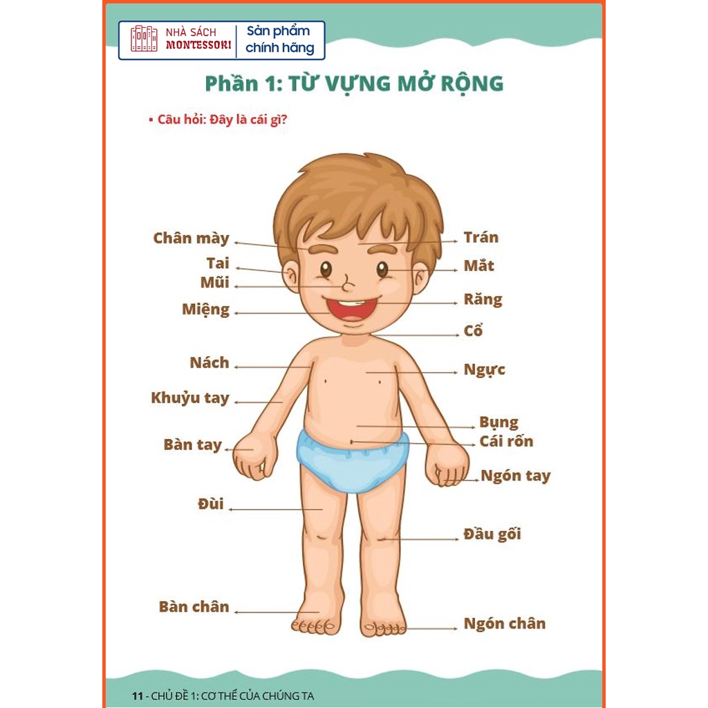 Dạy Con Học Nói Tập 2