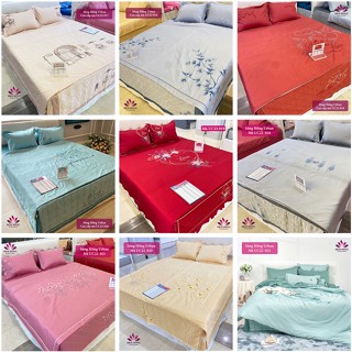 Bộ Vỏ Chăn Ga Gối Cao Cấp Sông Hồng Urban mẫu 2024 - 2025