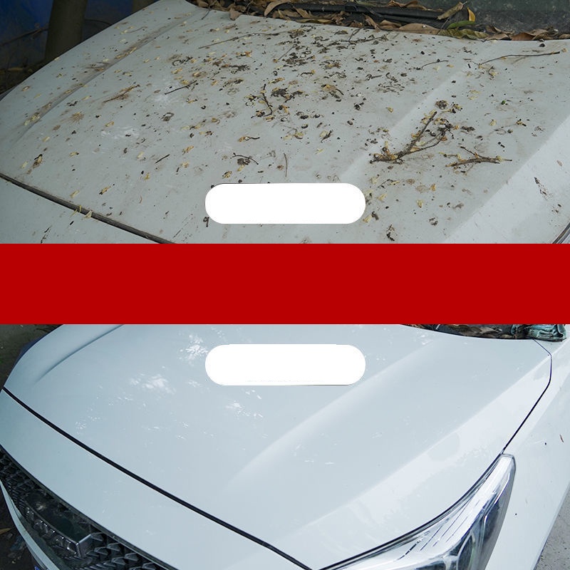 Tẩy Sơn Ô tô, Xe Máy - Chai Tẩy Nhựa Đường Dính Bẩn Xe Hơi - Làm Sạch Keo Decal, Băng Dính, Ố Vàng - DSQ Pitch [MILOZA]