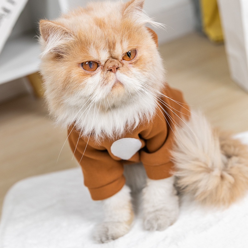 quần áo mèo thú cưng Áo Len Tai Thỏ Dễ Thương Cho Mèo Cưng nón tai thỏ tai thỏ cho mèo  Mùa thu và mùa đông Giáng