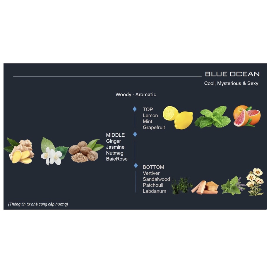 Nước hoa IRON & STONE Blue Ocean 50ml Z2002 - Dành cho nam