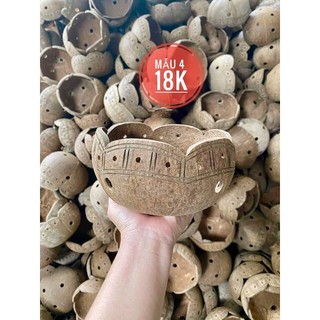 Chậu gáo dừa trồng lan/ sen đá