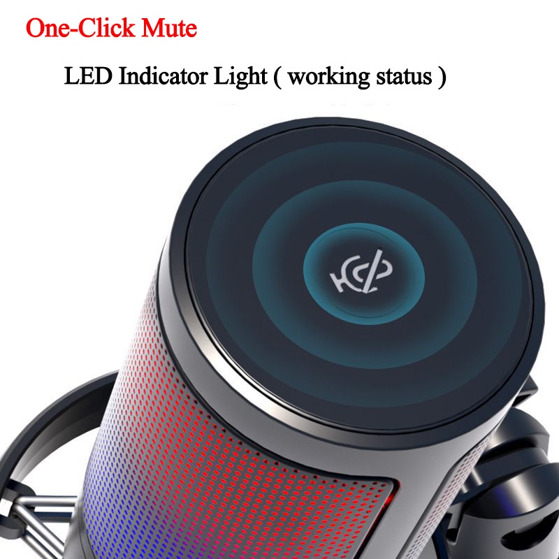 Micro USB Thu Âm Chuyên Nghiệp Cho Máy Tính