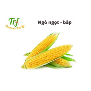 Ngô ngọt - bắp