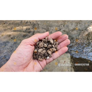 Đá núi lửa pumice size 5-8mm | vững vàng và đa dụng gói 2l