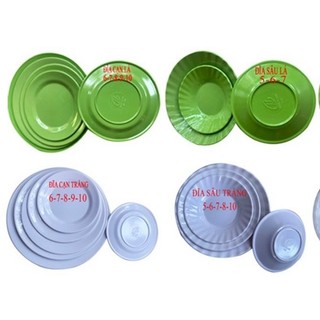 Đĩa mêca xanh/ trắng trơn đủ size