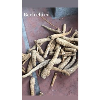 100gr Bạch Chỉ khô thái lát trắng.thơm